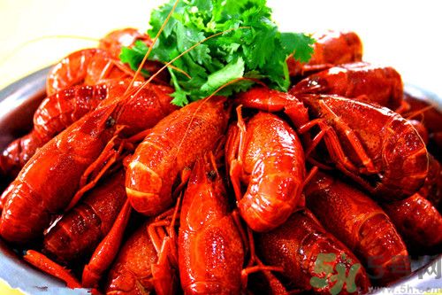 龍蝦和什么不能一起吃?龍蝦和什么相克 龍蝦和什么不能一起吃?龍蝦和什么相克