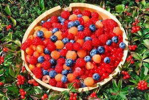 痛風(fēng)能吃櫻桃嗎？痛風(fēng)吃櫻桃可不可以？