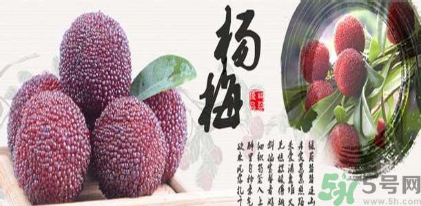 1462430700953333.jpg u=3596517139,2391843224&fm=21&gp=0.jpg