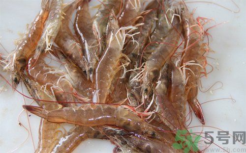 死蝦被稱腦死亡 死蝦吃了會怎么樣？