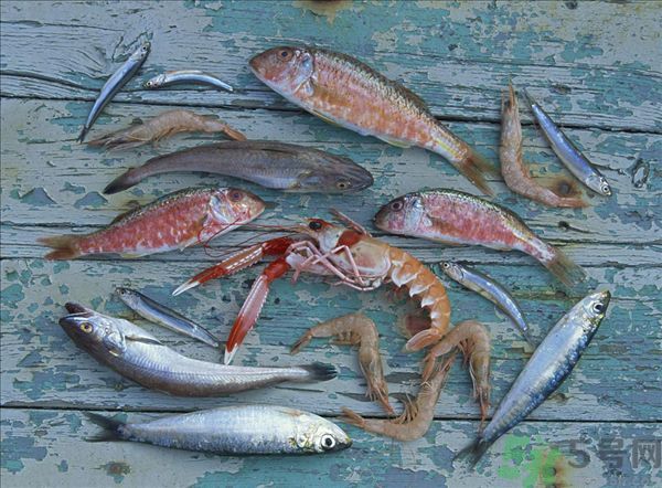 死蝦被稱腦死亡 死蝦吃了會怎么樣？