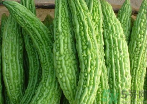 苦瓜的皮可以吃嗎？苦瓜要不要削皮？