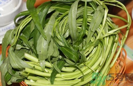 吃空心菜可以減肥嗎？吃空心菜減肥效果好嗎？