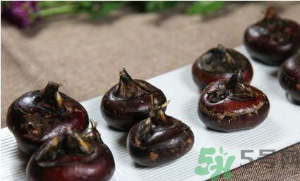 荸薺是寒性還是熱性？荸薺是寒性嗎？