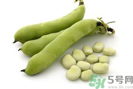 蠶豆是熱性還是涼性？蠶豆是熱性的嗎？