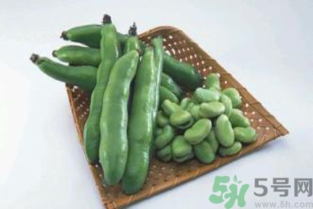 蠶豆是熱性還是涼性？蠶豆是熱性的嗎？