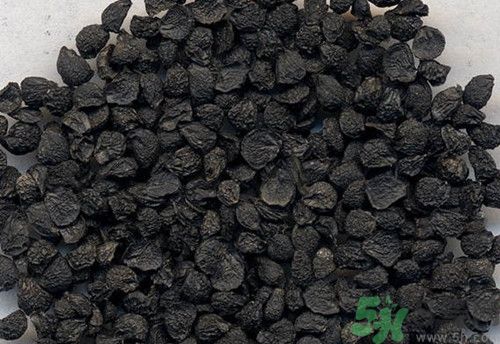 韭菜子可以泡酒嗎?韭菜泡酒的功效 韭菜子可以泡酒嗎?韭菜泡酒的功效