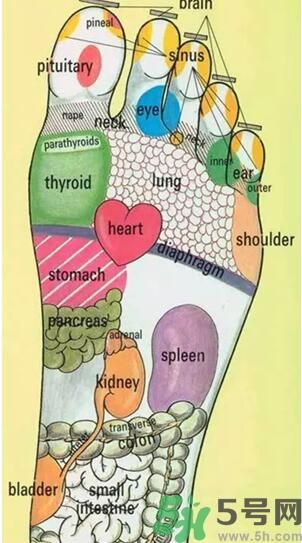 發(fā)燒可以吃洋蔥嗎？發(fā)燒能吃洋蔥嗎？