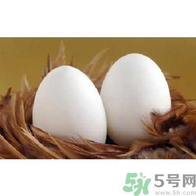 鵝蛋可以清火嗎？鵝蛋可以降火嗎？