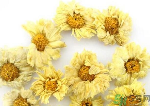 菊花晶有什么功效？菊花晶的功效是什么？