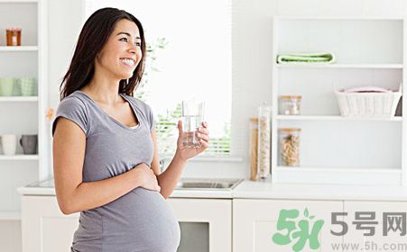 孕婦可以喝菊花晶嗎？孕婦能喝菊花