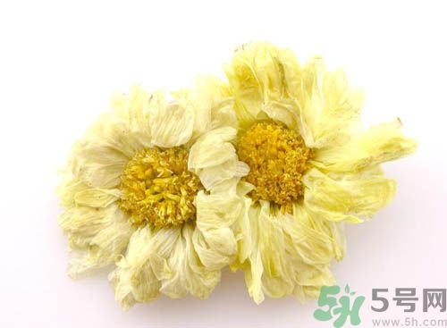 菊花晶能喝綠豆湯一起喝嗎？菊花晶和綠豆湯可以一起喝嗎？