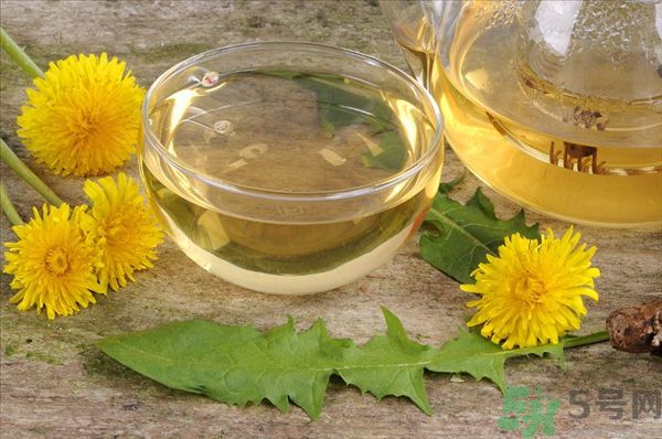 蒲公英泡茶有什么功效？蒲公英泡茶的功效是什么？