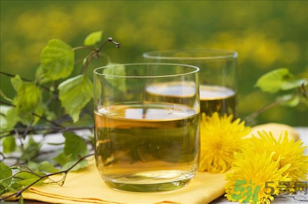 蒲公英泡水喝有副作用嗎？蒲公英泡水喝要注意什么？