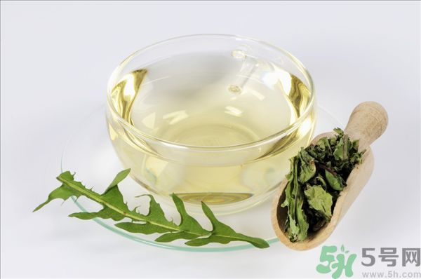 蒲公英泡水喝有副作用嗎？蒲公英泡水喝要注意什么？