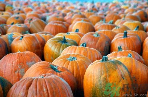 吃南瓜會過敏嗎?南瓜過敏怎么辦 吃南瓜會過敏嗎?南瓜過敏怎么辦