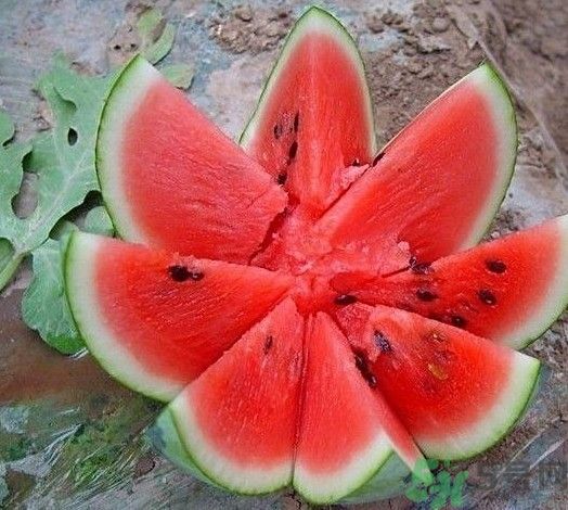 吃西瓜拉肚子怎么辦？吃西瓜會拉肚子嗎？