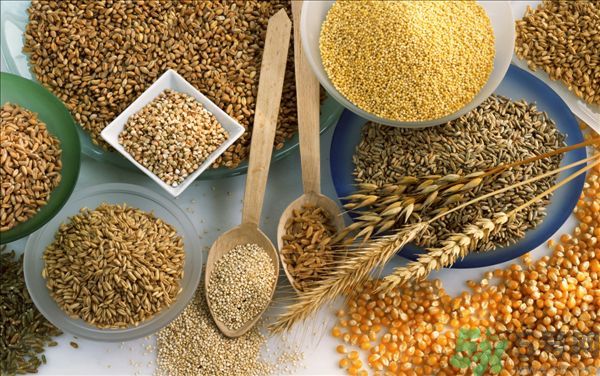 夏天吃蕎麥好嗎？夏天吃蕎麥有什么好處？