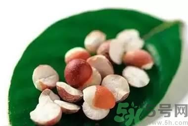 夏天吃芡實(shí)好嗎？夏天吃芡實(shí)有什么好處？