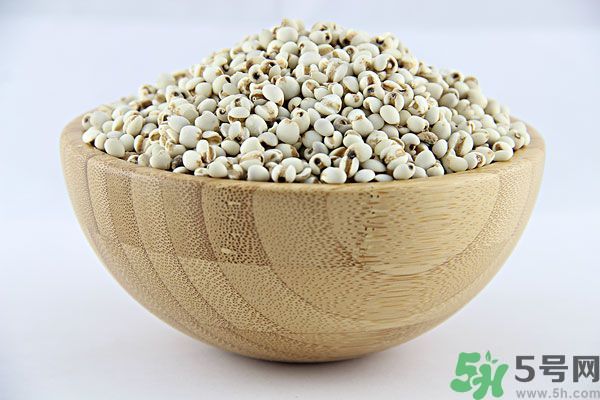 夏天吃薏米好嗎？夏天吃薏米有什么好處？