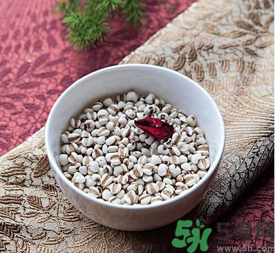 夏天吃薏米好嗎？夏天吃薏米有什么好處？