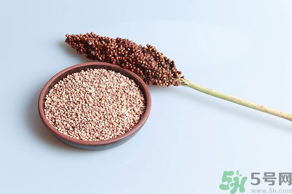 夏天吃高粱好嗎？夏天吃高粱有什么好處？