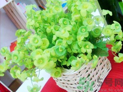 90后姑娘爆改出租屋走紅 出租屋怎么裝飾？