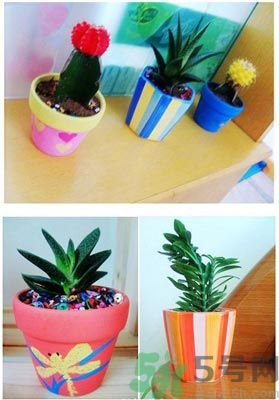 90后姑娘爆改出租屋走紅 出租屋怎么裝飾？