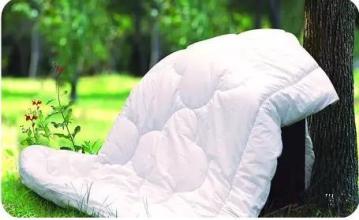 為什么15-25號(hào)不要曬被子？什么是美國(guó)白蛾？