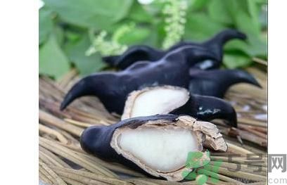 菱角怎么剝完整？菱角剝不開怎么辦？