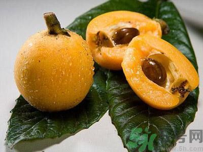 枇杷和什么不能一起吃?枇杷和什么相克 枇杷和什么不能一起吃?枇杷和什么相克