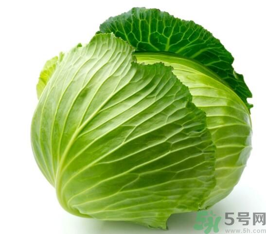 包菜是涼性的嗎？包菜是涼性還是熱性的？