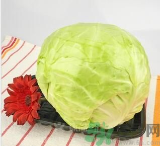 包菜可以生吃嗎？包菜可以涼拌嗎？