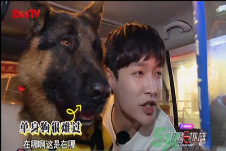 超八成男女患戀愛恐懼癥 戀愛恐懼癥的原因 超八成男女患戀愛恐懼癥 戀愛恐懼癥的原因