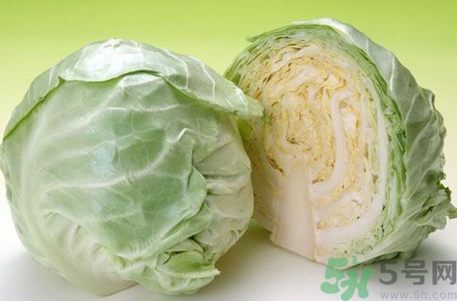 紫甘藍和包菜有什么區(qū)別？紫甘藍是包菜嗎？