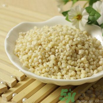 高粱米是涼性嗎？高粱米是涼性還是熱性？