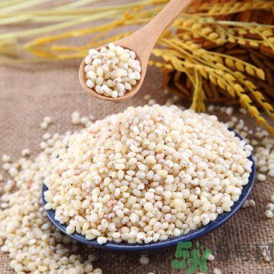 高粱米能做飯嗎？高粱米做飯好嗎？