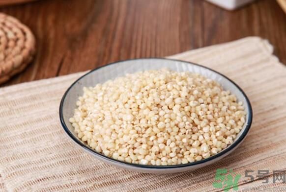 孕婦可以吃高粱米嗎？