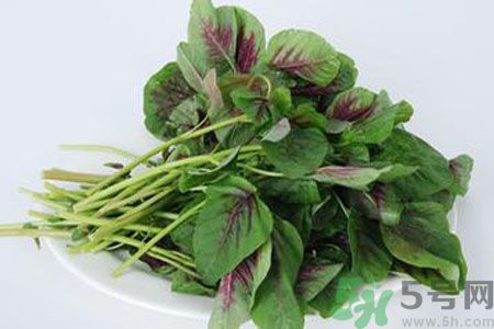 漢菜是熱性還是涼性？漢菜是涼性的嗎？