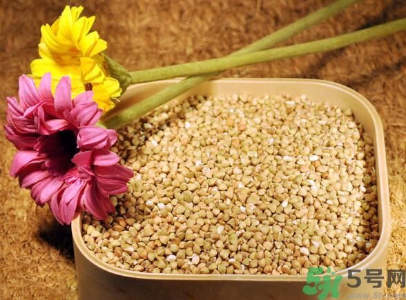 蕎麥是發(fā)物嗎？蕎麥是不是發(fā)物？