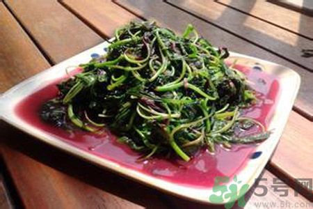 莧菜汁可以放多久？莧菜汁放多久會壞？