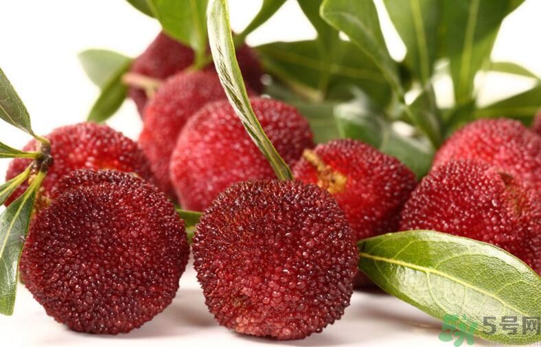 吃楊梅能喝茶嗎？吃楊梅的時候可以喝茶嗎？