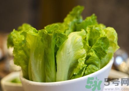 生菜是發(fā)物嗎?生菜是不是發(fā)物? 生菜是發(fā)物嗎?生菜是不是發(fā)物?