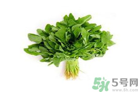 莧菜可以生吃嗎？莧菜生吃了會怎樣？