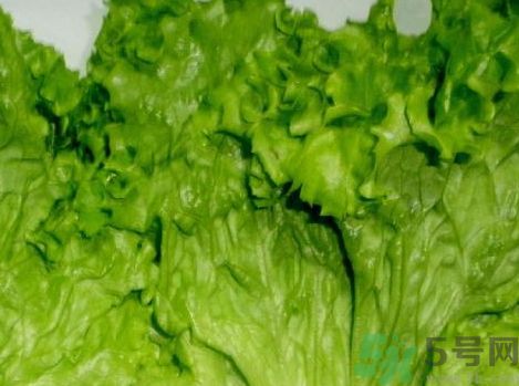 生菜可以涼拌嗎?生菜能涼拌嗎? 生菜可以涼拌嗎?生菜能涼拌嗎?