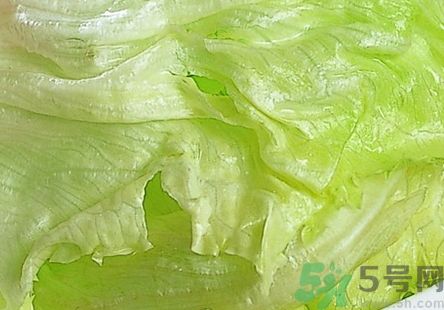 生菜可以涼拌嗎?生菜能涼拌嗎? 生菜可以涼拌嗎?生菜能涼拌嗎?