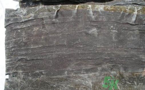 干海帶和鮮海帶哪個好?干海帶和鮮海帶的區(qū)別 干海帶和鮮海帶哪個好?干海帶和鮮海帶的區(qū)別