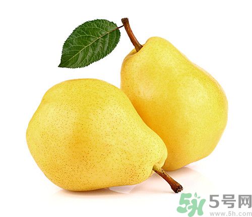 梨子皮可以敷臉嗎?梨子皮敷臉的功效有哪些 梨子皮可以敷臉嗎?梨子皮敷臉的功效有哪些