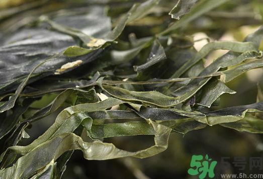 干海帶要泡多久才能煮?干海帶要煮多久才熟? 干海帶要泡多久才能煮?干海帶要煮多久才熟?