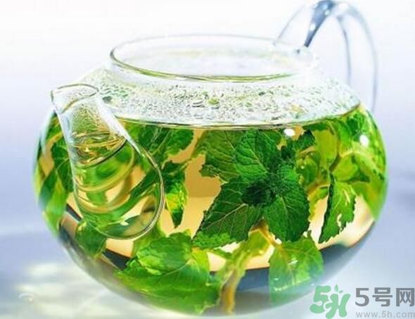 薄荷茶怎么泡好喝？薄荷茶的沖泡方法有哪些？